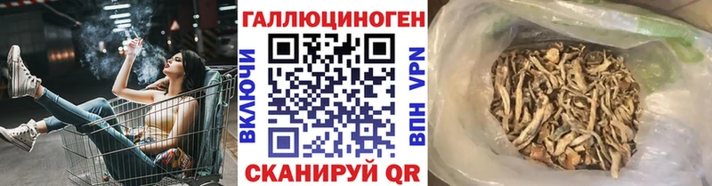 Галлюциногенные грибы мухоморы  Купить где  Тосно 